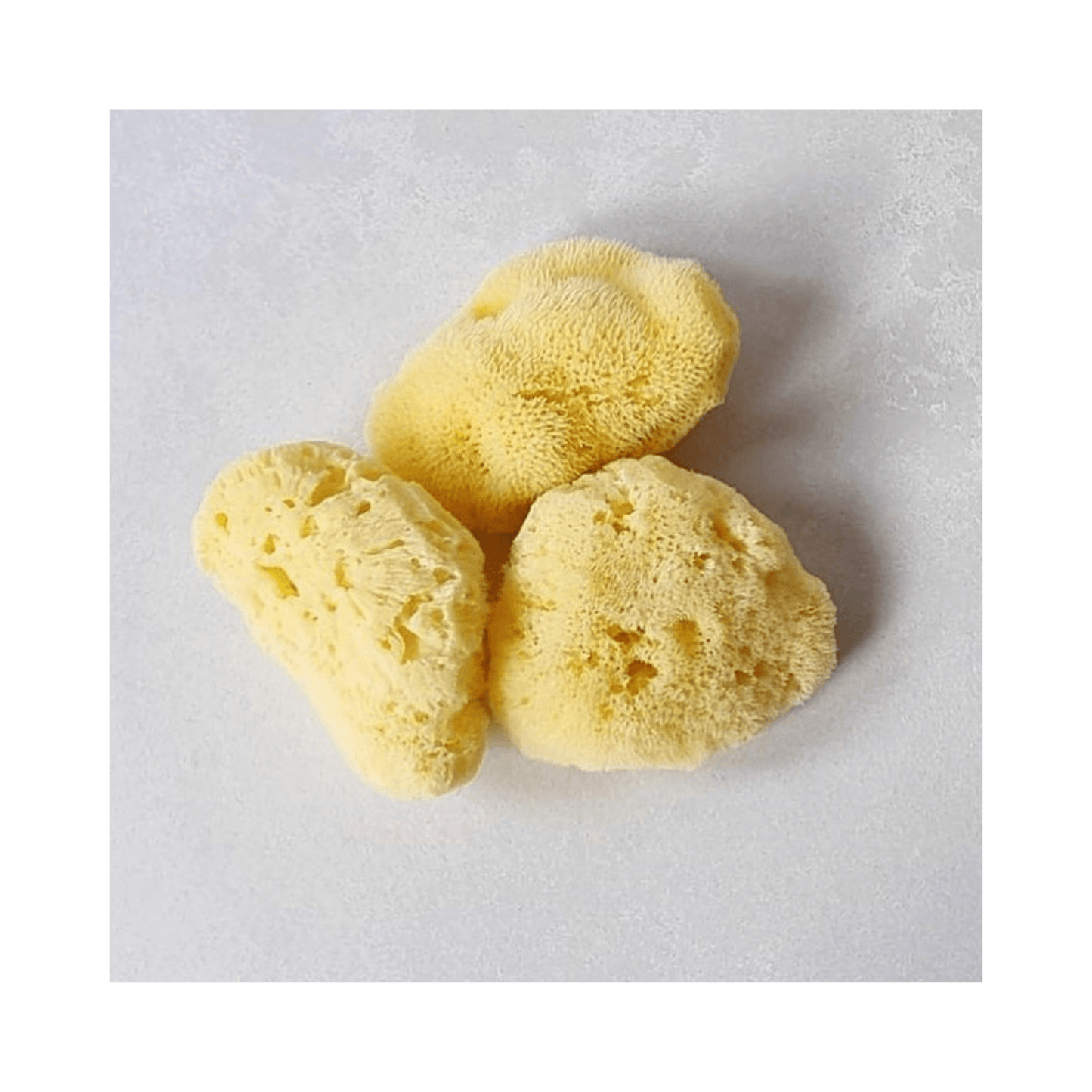 Natural Facial Sea Sponge