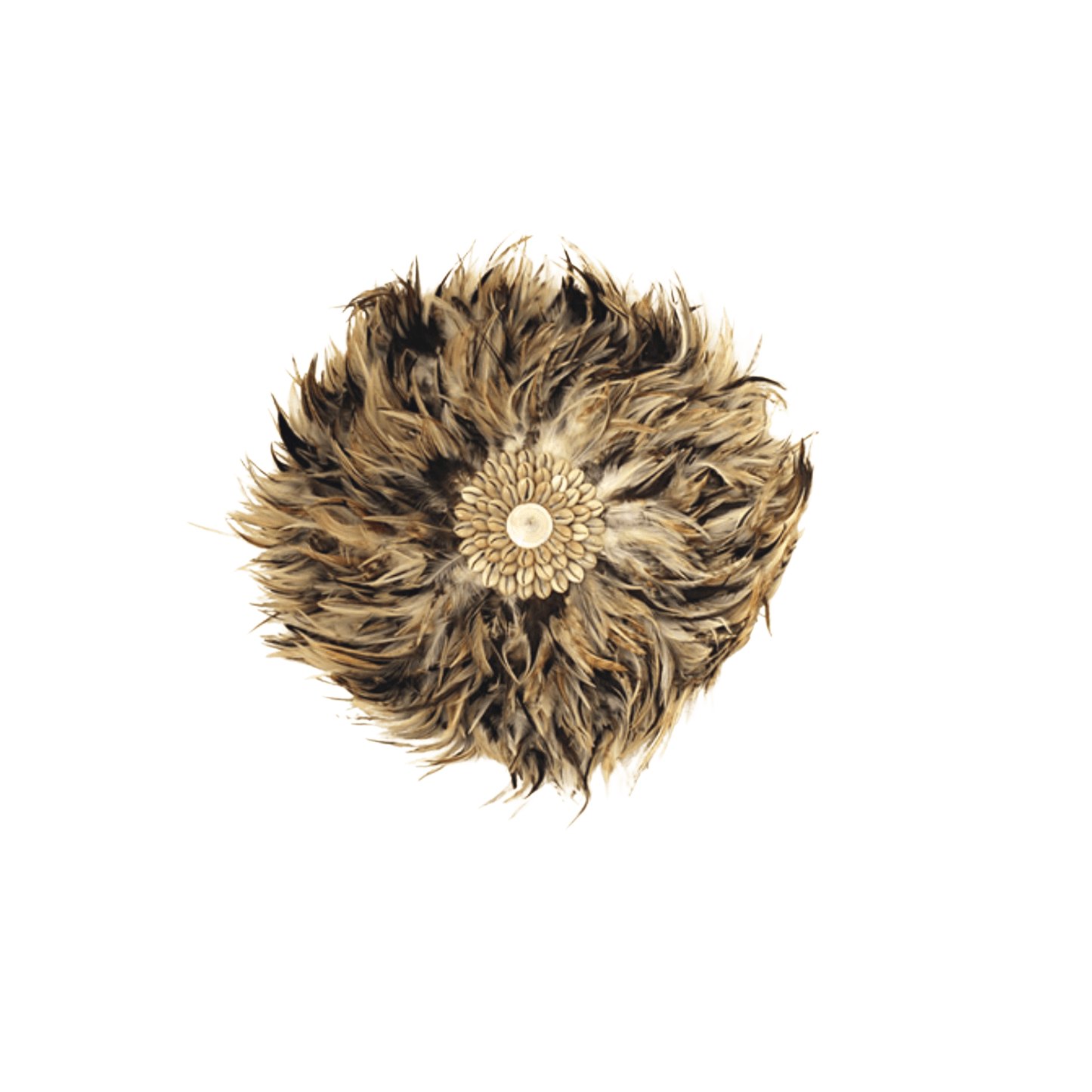 Feather and Shell Juju