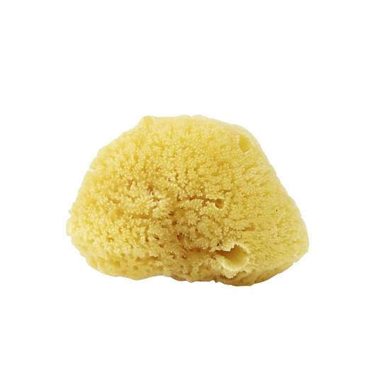 Natural Facial Sea Sponge